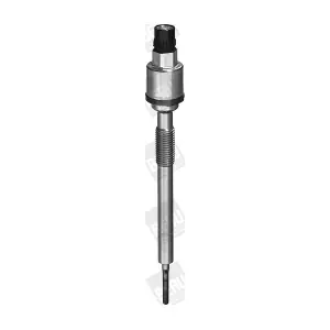PSG004 BorgWarner (BERU)