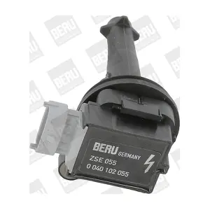 ZSE055 BorgWarner (BERU)