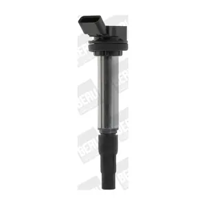 BorgWarner (BERU) ZSE184