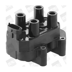 ZS450 BorgWarner (BERU)