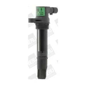 BorgWarner (BERU) ZS068