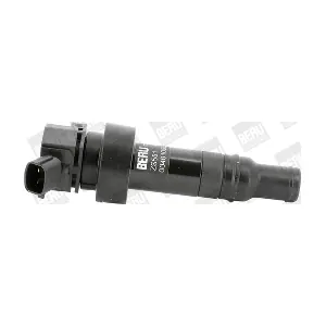 BorgWarner (BERU) ZS551