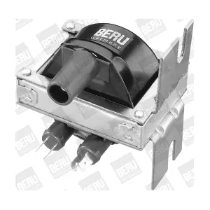 BorgWarner (BERU) ZS 248