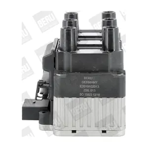 ZSE013 BorgWarner (BERU)