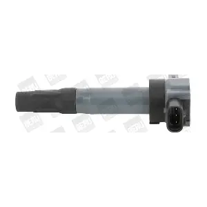 BorgWarner (BERU) ZSE189