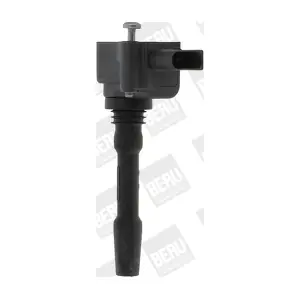 BorgWarner (BERU) ZSE163