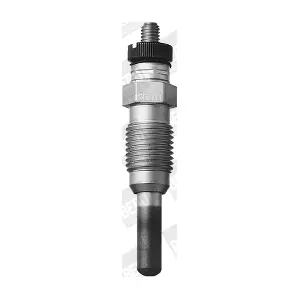 BorgWarner (BERU) GV888