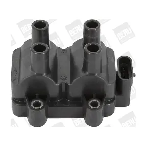 BorgWarner (BERU) ZS354
