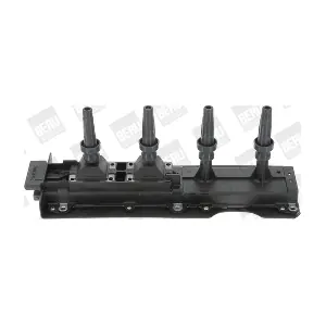 ZS256 BorgWarner (BERU)