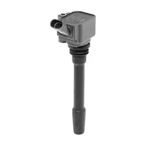ZS587 BorgWarner (BERU)