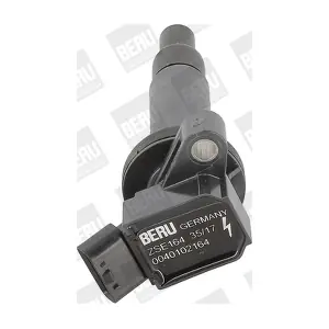 BorgWarner (BERU) ZSE 164