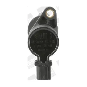 BorgWarner (BERU) ZS408