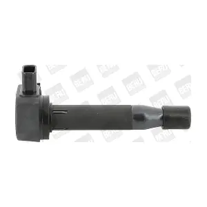 BorgWarner (BERU) ZSE183
