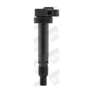 BorgWarner (BERU) ZSE168