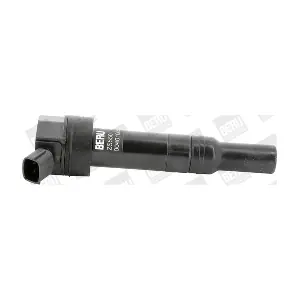 ZS550 BorgWarner (BERU)