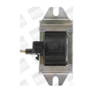 ZS 250 BorgWarner (BERU)