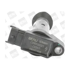 BorgWarner (BERU) ZS557