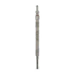 GE134 BorgWarner (BERU)