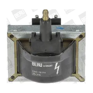 ZS 316 BorgWarner (BERU)