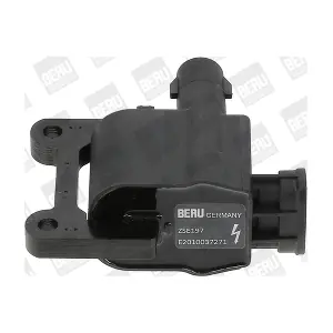 ZSE197 BorgWarner (BERU)
