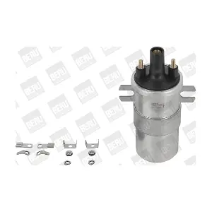 BorgWarner (BERU) ZS568