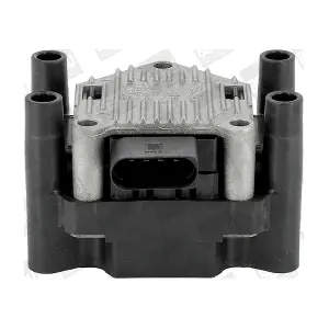 BorgWarner (BERU) ZSE003