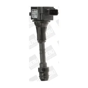 ZSE157 BorgWarner (BERU)