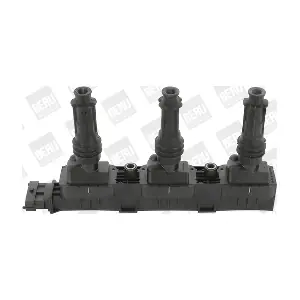 ZS 359 BorgWarner (BERU)