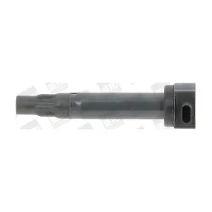 BorgWarner (BERU) ZS453