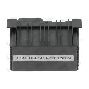GSE 145 BorgWarner (BERU)