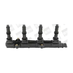 BorgWarner (BERU) ZSE149