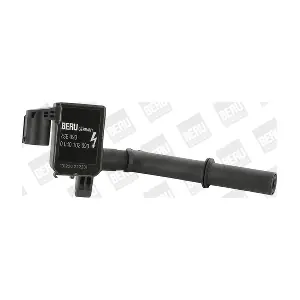 BorgWarner (BERU) ZSE093