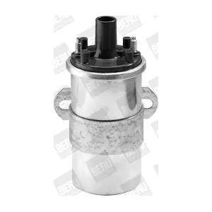 BorgWarner (BERU) ZS117