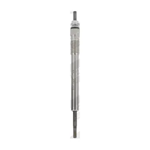 GE130 BorgWarner (BERU)