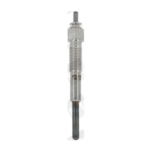GV 895 BorgWarner (BERU)