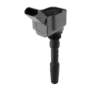 BorgWarner (BERU) ZSE137