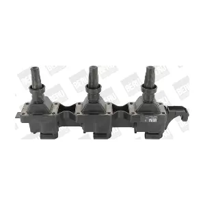 ZS343 BorgWarner (BERU)