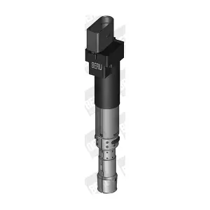 ZSE089 BorgWarner (BERU)