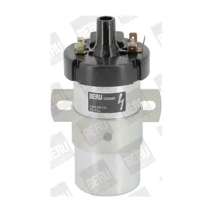 BorgWarner (BERU) ZS124