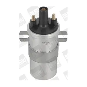 BorgWarner (BERU) ZS566