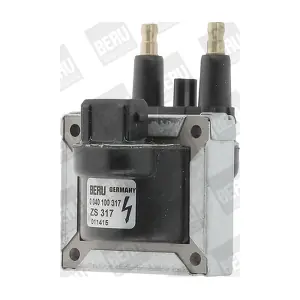 BorgWarner (BERU) ZS317