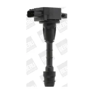 ZSE188 BorgWarner (BERU)