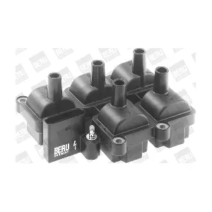 BorgWarner (BERU) ZS 037