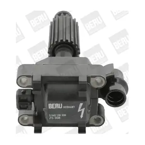 BorgWarner (BERU) ZS308