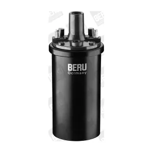 BorgWarner (BERU) ZS 119