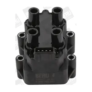 ZS232 BorgWarner (BERU)