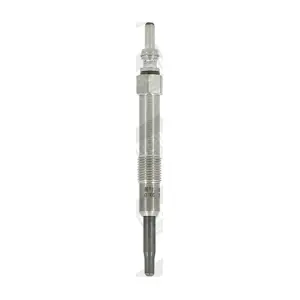 BorgWarner (BERU) GN041
