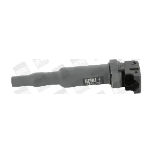 BorgWarner (BERU) ZSE145
