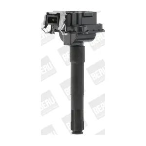 ZS017 BorgWarner (BERU)