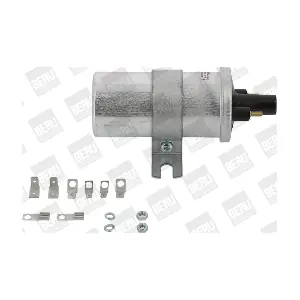 BorgWarner (BERU) ZS569